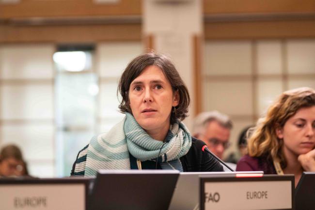 Isabelle Fragnière, Europe