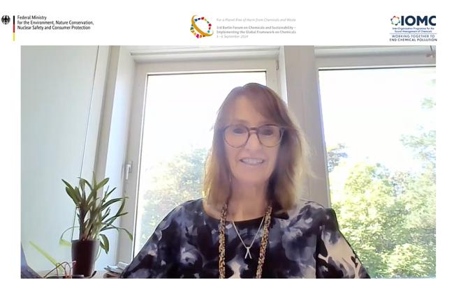 Kay Williams, Head GFC Secretariat, Chemicals and Health Branch, UNEP