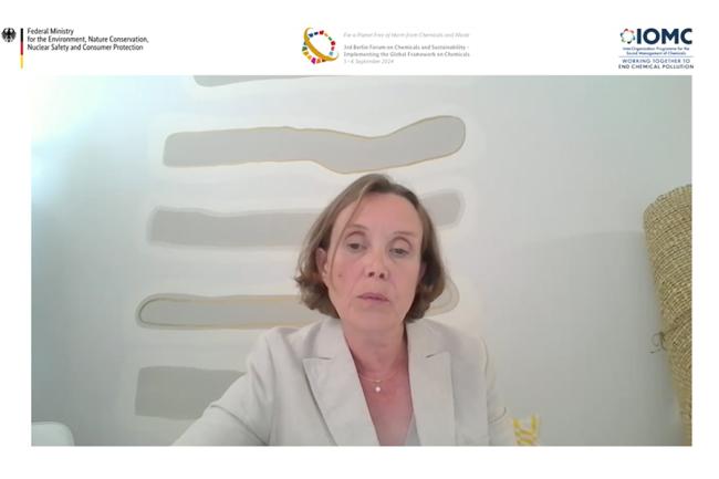 Kerstin Stendahl, Special Envoy on Environment Security with the Finnish Ministry of the Environment
