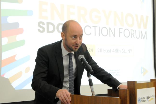 Martin Niemetz, UNDESA