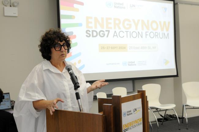 Head of Secretariat, Climate and Clean Air Coalition, United Nations Environment Programme 