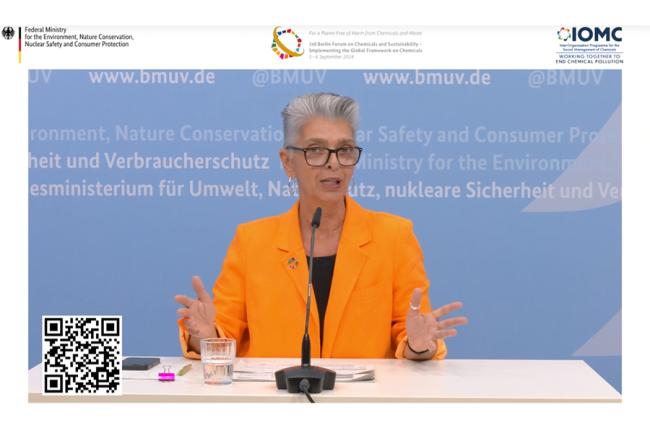 Minu Hemmati, consultant to the BMUV