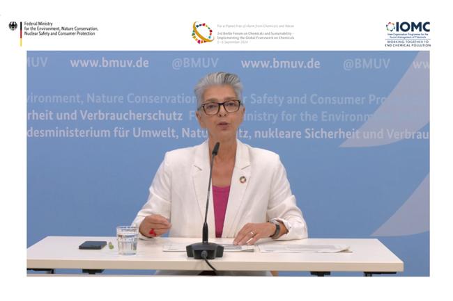 Minu Hemmati, consultant to the Federal Minister for the Environment, Nature Conservation, Nuclear Safety and Consumer Protection, Germany