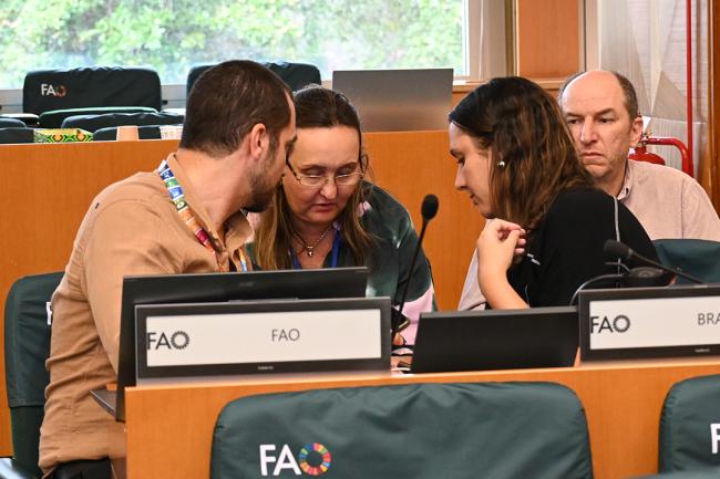 Observers from Brazil consult - CRCPOPRC20-19Sep2024