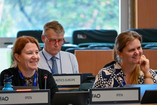 Observers from International Pollutants Elimination Network (IPEN)