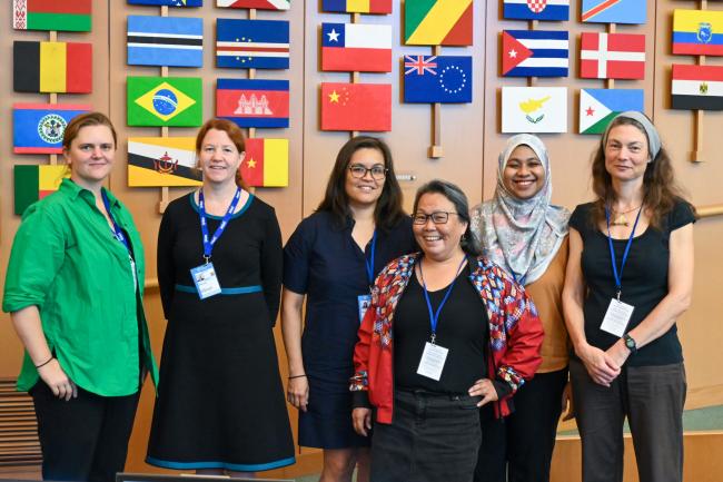 Observers from the International Pollutants Elimination Network (IPEN)