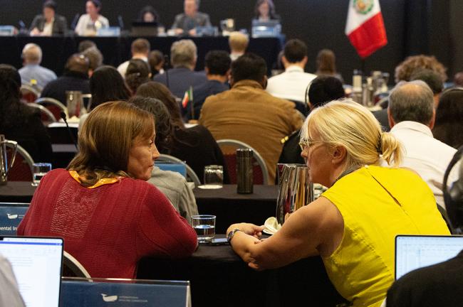 Participants - IWC69-25sep2024