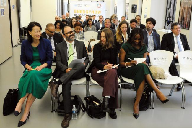 Participants during the session on "Integrating Distributed Renewable Energy Technologies for Sustainable Development in Rural and Remote Areas"