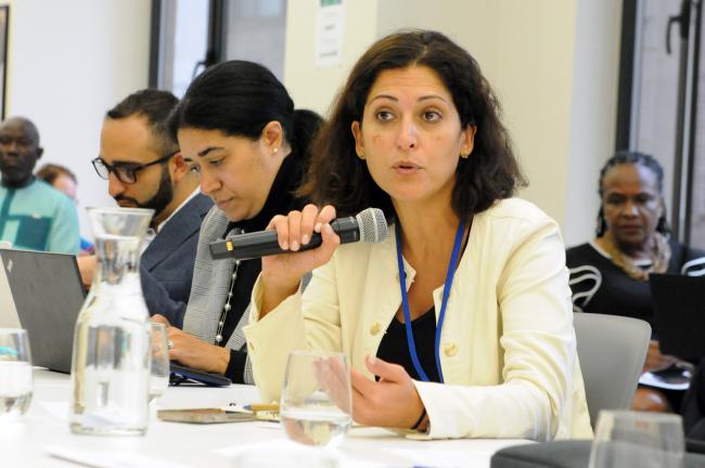 Rana Ghoneim, UNIDO