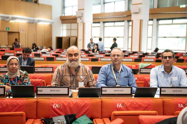 Representatives from the Near East Region