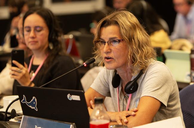 Roxana Schteinbarg, Conservación de Ballenas - IWC69-26sep2024