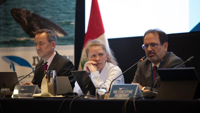 Scientific Commitee- IWC69-26sep2024