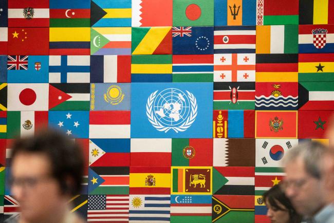 Flag om FAO member states