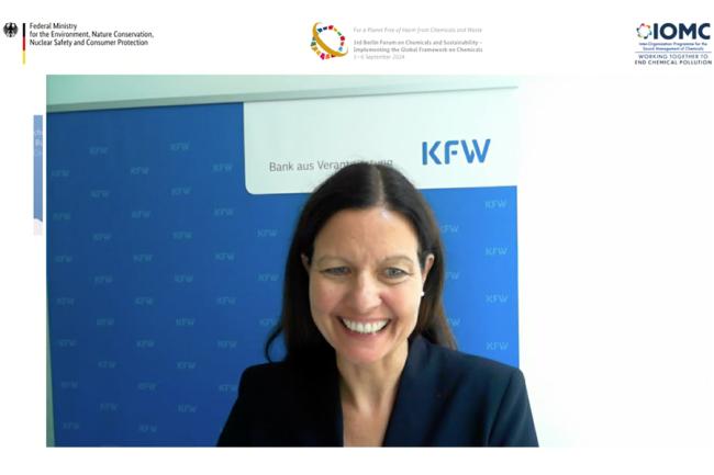 Stephanie Lindemann-Kohrs, Director, Global Head Equity and Funds, KfW Development Bank
