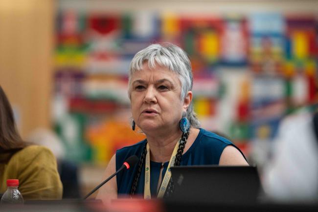 Teresa Agüero Teare, GRULAC - ITPGRFA OEWG12 - 19Sep2024 – photo