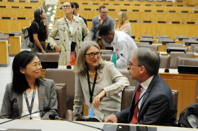 Members of the UN Statistics Division (UNSD)