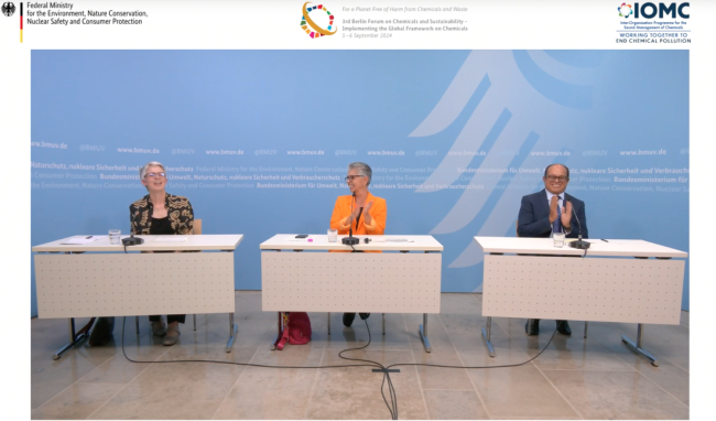 Anita Breyer, President of the 5th Meeting of the International Conference on Chemicals Management (ICCM5), is vitually congratulated for her contributions to the work on chemicals and waste