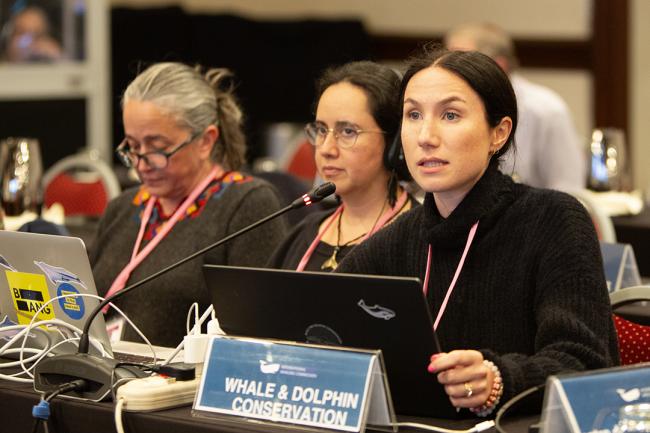 Whale Dolphin Conservation - IWC69-24sep2024