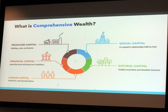 What is Comprehensive Wealth?