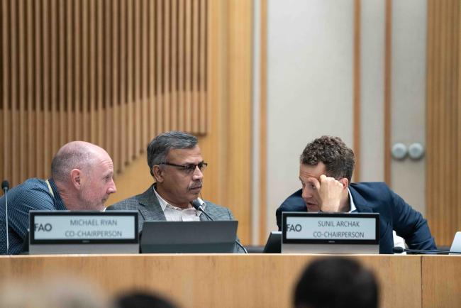 Working Group Co-Chairs Michael Ryan and Sunil Archak, with Tobias Kiene, ITPGRFA Secretariat