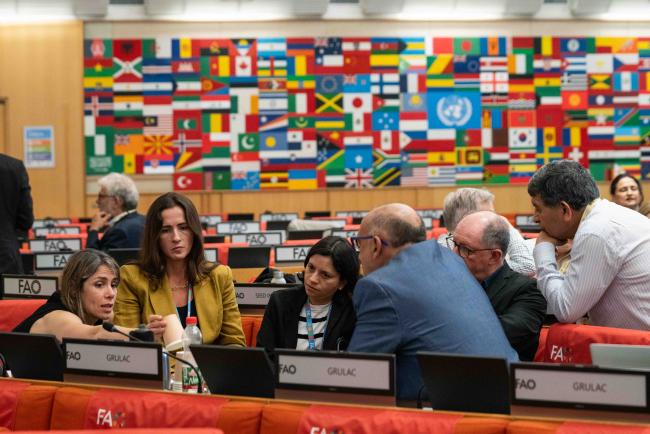 between sessions16 - ITPGRFA OEWG12 - 19Sep2024 – photo