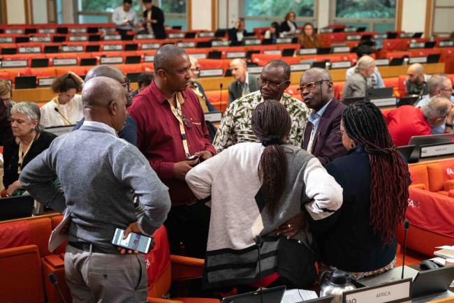 regional huddles2 - ITPGRFA OEWG12 - 17Sep2024 – photo