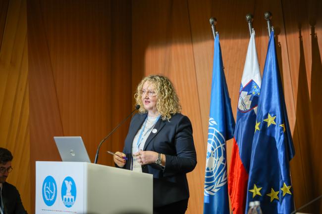 Konstantina Toli, Global Environment Facility (GEF) 