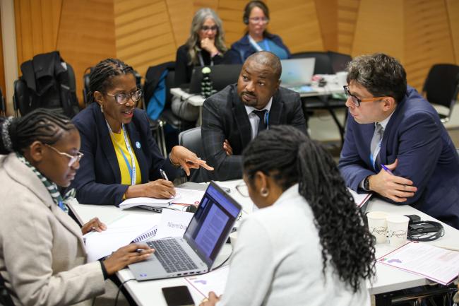 Delegates discussing Namibia's proposal