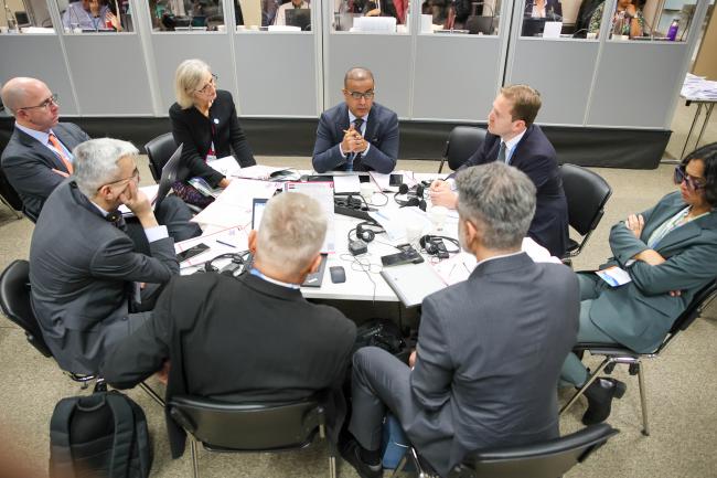 Delegates discussing Iraq's proposal 