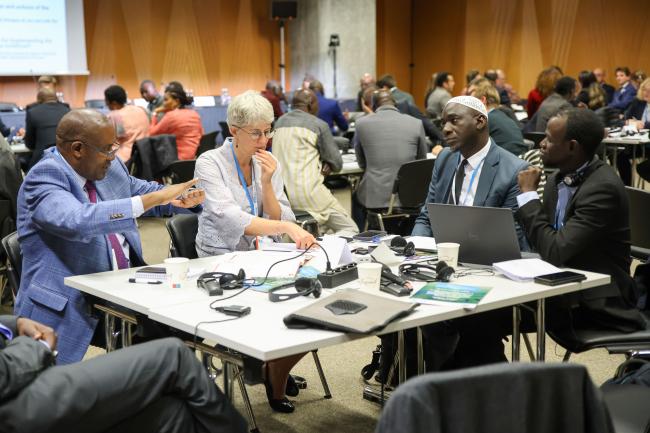 Delegates discussing Gambia's proposal 