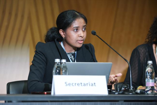 Lovasoa Christine Razanamahandry, Water Convention Secretariat 