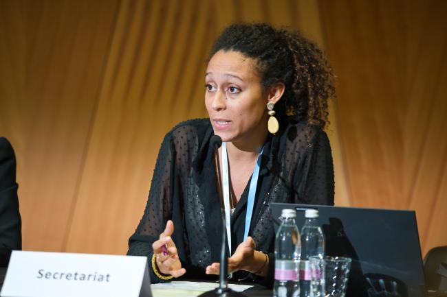 Diane Guerrier, Water Convention Secretariat 