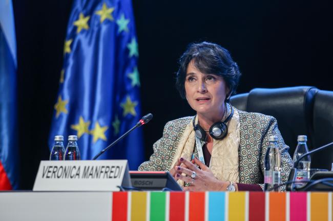 Veronica Manfredi Director for Zero Pollution, Directorate General for Environment, European Commission