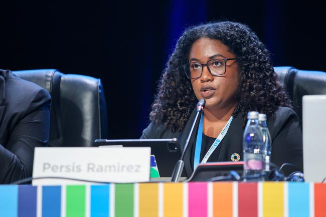 Persis Ramirez Environmental Programme Officer, OpenHydro/International Water Association 