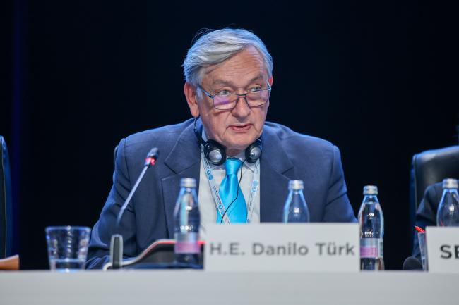 Danilo Türk, Chair of the Global High-Level Panel on Water and Peace 