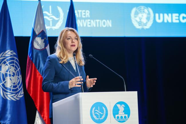 Tatiana Molcean, Executive Secretary, UNECE 