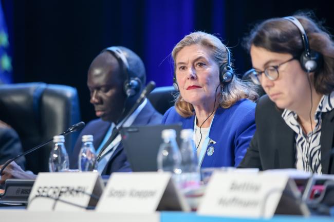 Giovanna Valverde Stark, Minister Counsellor, Costa Rica 