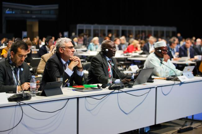 Delegates follow the process 