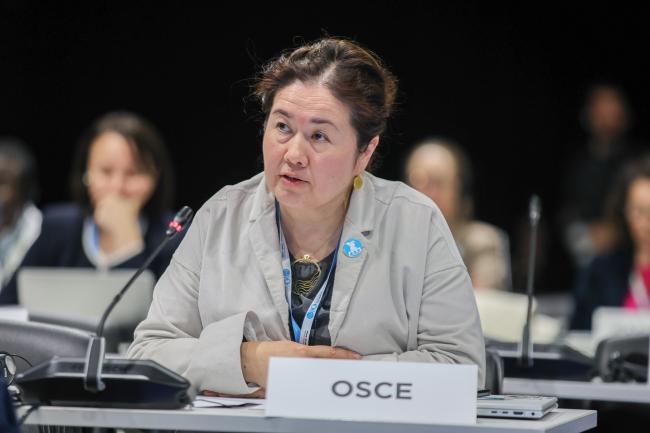 Saule Ospanova, Organization for Security and Co-operation in Europe (OSCE) 