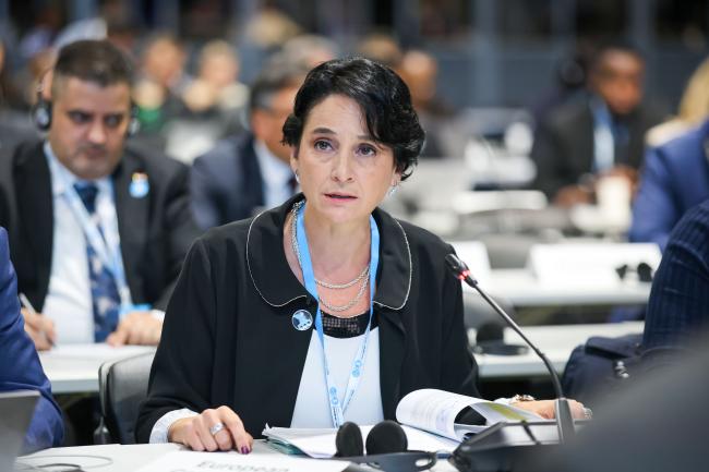 Veronica Manfredi, EU 