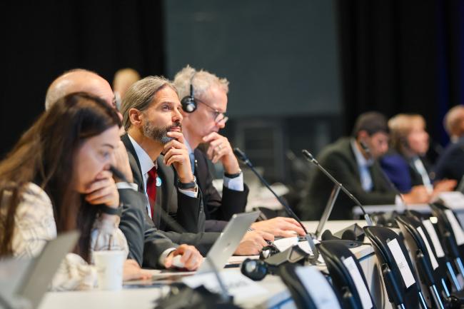 Delegates following the process