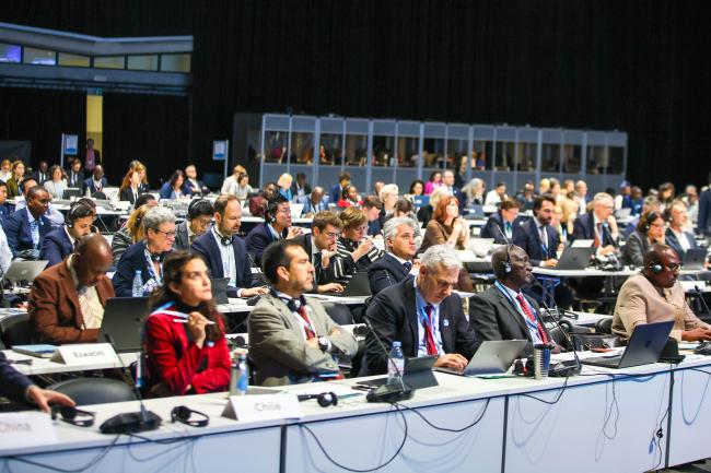 Delegates during the morning plenary -