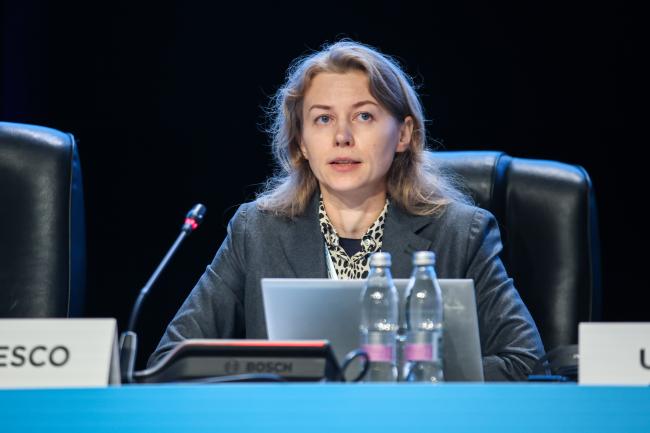 Tatiana Dimitrieva, UNESCO 