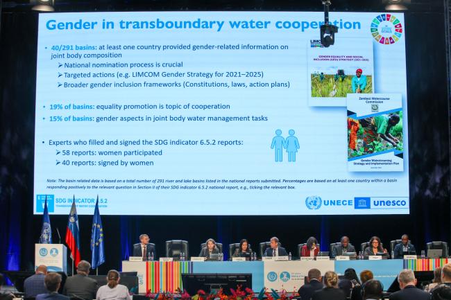 A slide of Tatiana's Dimitrieva presentaion on Gender in Transboundary Water Cooperation