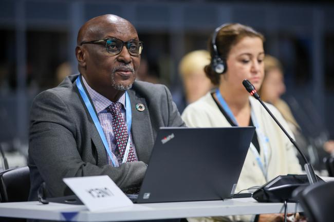 Frank Rutabingwa, UN Economic Commission for Africa (UNECA) 