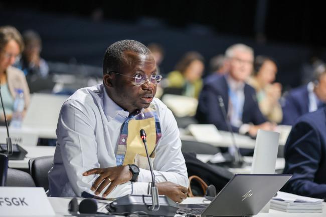Kouakou Alexis Kouassi, Economic Community of West African States (ECOWAS) 