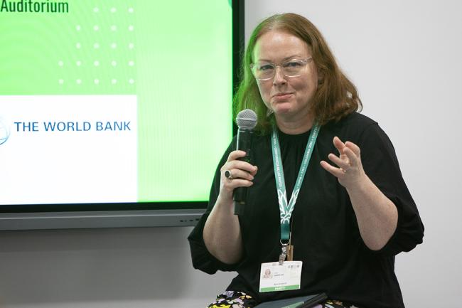 Jillian Dempster, New Zealand COP16 Head of Delegation - Target 18 - 27October2024