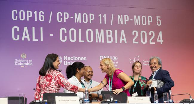 1 Around the Venue - Solutions for the Implementation of Synergies - 25 Oct2024