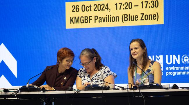 Closing Session Trade Day at COP16 - 26October2024
