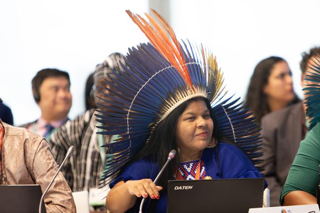 Sônia Guajajara, Minister of Indigenous Peoples-Urgent Action for Implementation - 29 Oct 2024